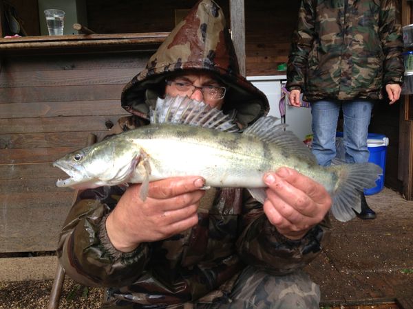 sandre papa 50 cm.jpg